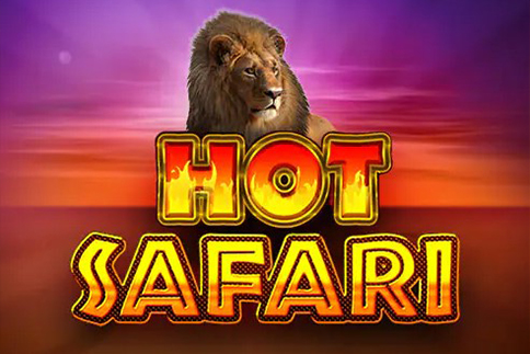 Hot Safari