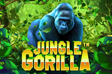 Jungle Gorilla